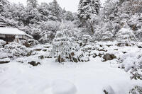 雪の青岸寺庭園 [MOP110104307]
