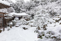 雪の青岸寺庭園 [MOP110104308]