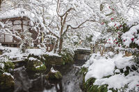 雪の中山道　醒井宿 [MOP110104310]