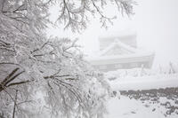 雪の越前大野城 [MOP110104328]