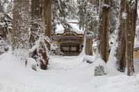雪の永平寺　勅使門（唐門） [MOP110104329]