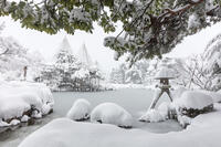 雪の兼六園　ことじ灯篭 [MOP110104334]