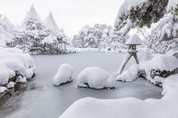 雪の兼六園　ことじ灯篭 [MOP110104336]