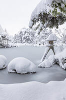 雪の兼六園　ことじ灯篭 [MOP110104337]