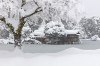 雪の兼六園　内橋亭 [MOP110104341]