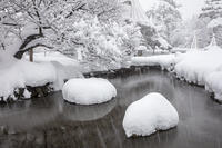雪の兼六園 [MOP110104343]