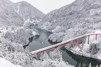 雪の庄川峡　庄川峡遊覧船と利賀大橋と長崎大橋 [MOP110104362]