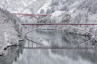 雪の庄川峡　庄川峡遊覧船と長崎大橋と利賀大橋 [MOP110104365]