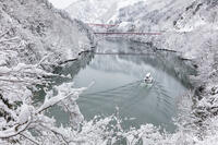 雪の庄川峡　庄川峡遊覧船と長崎大橋と利賀大橋 [MOP110104366]