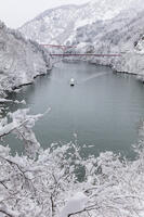 雪の庄川峡　庄川峡遊覧船と長崎大橋と利賀大橋 [MOP110104367]