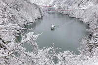 雪の庄川峡　庄川峡遊覧船と長崎大橋と利賀大橋 [MOP110104368]