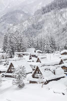 雪の相倉合掌造り集落 [MOP110104371]