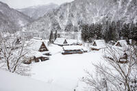 雪の菅沼合掌造り集落 [MOP110104373]