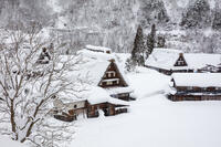 雪の菅沼合掌造り集落 [MOP110104374]