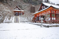 雪の談山神社　十三重塔 [MOP110104380]