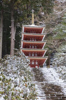 雪の五重塔　室生寺 [MOP110104382]