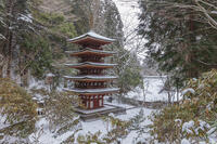雪の五重塔　室生寺 [MOP110104384]