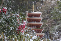 雪の五重塔　室生寺 [MOP110104386]