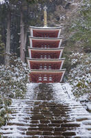 雪の五重塔　室生寺 [MOP110104388]