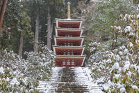 雪の五重塔　室生寺 [MOP110104389]