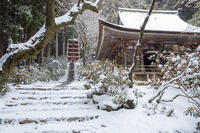 雪の本堂と五重塔　室生寺 [MOP110104390]