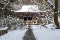 雪の本堂　室生寺 [MOP110104391]