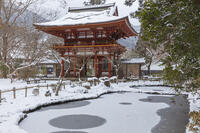 雪の仁王門　室生寺 [MOP110104393]