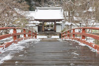 雪の太鼓橋　室生寺 [MOP110104394]
