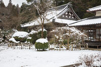 雪の大野寺 [MOP110104396]