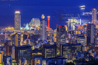 市章山より神戸市街と神戸港夜景 [MOP110105796]