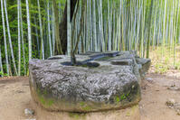 新緑の酒船石遺跡　酒船石 [MOP110105819]