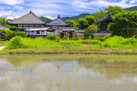 新緑の飛鳥寺 [MOP110105882]