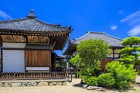 新緑の飛鳥寺 [MOP110105884]