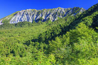 鍵掛峠より大山(伯耆富士) [MOP110106731]