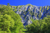 三の沢より大山(伯耆富士) [MOP110106732]