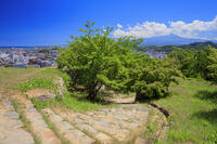 米子城跡より大山 [MOP110106753]