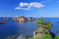 穴見海岸 [MOP110106811]