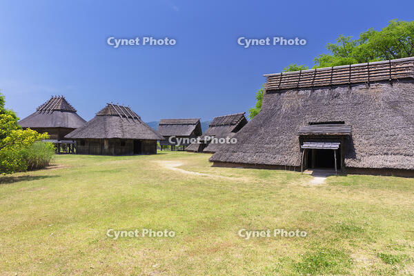 吉野ヶ里遺跡　南のムラ [MOP110099175]