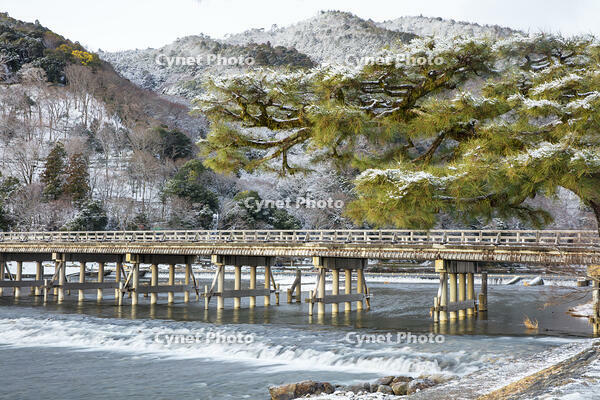 雪の嵐山　渡月橋 [MOP110102021]