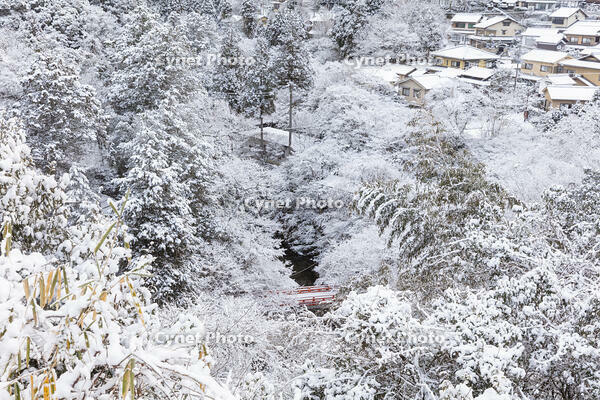 雪の清滝川と指月橋　高雄 [MOP110102023]