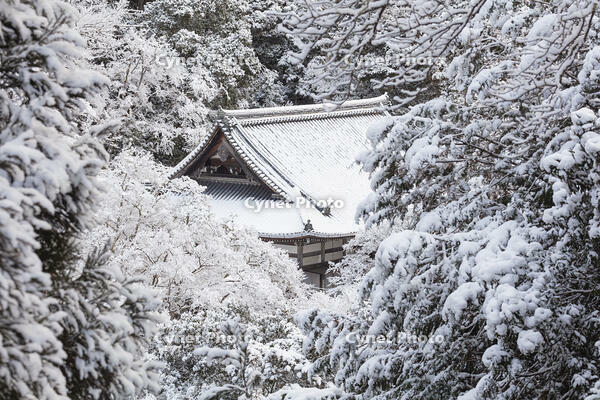 雪の西明寺　高雄 [MOP110102024]