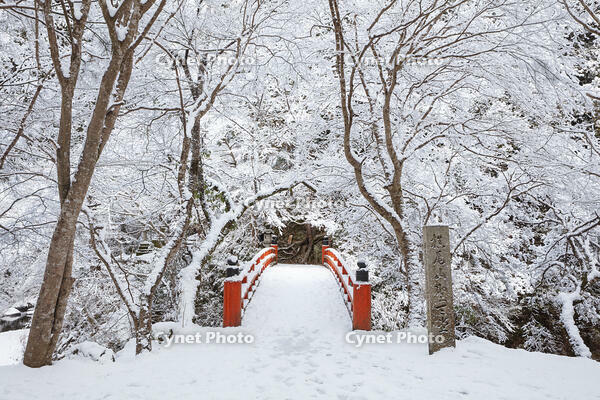 雪の西明寺　指月橋　高雄 [MOP110102025]