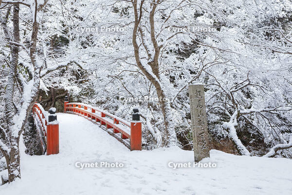 雪の西明寺　指月橋　高雄 [MOP110102026]