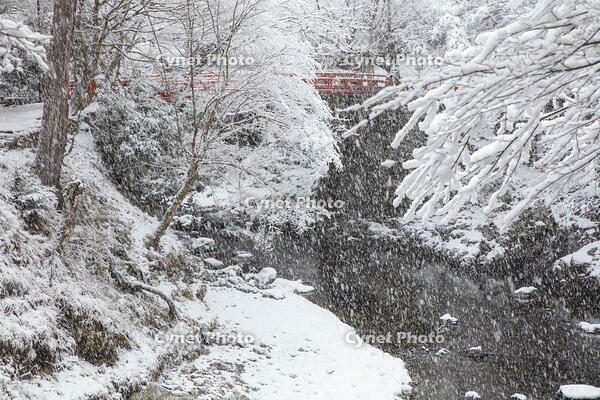 雪の西明寺　指月橋　高雄 [MOP110102028]