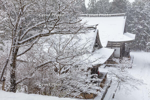 雪の神護寺　高雄 [MOP110102036]
