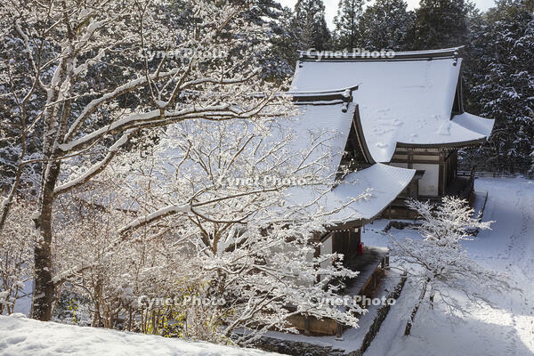雪の神護寺　高雄 [MOP110102037]