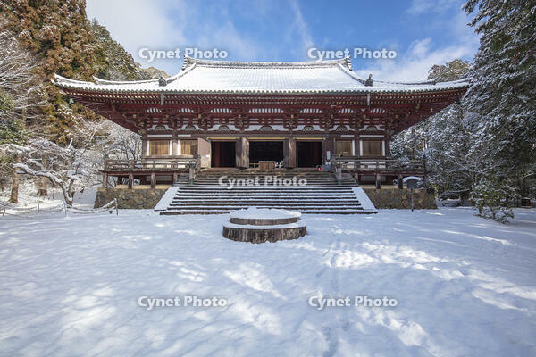 雪の神護寺　金堂　高雄 [MOP110102038]