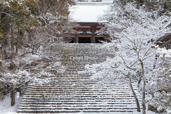 雪の神護寺　高雄 [MOP110102039]