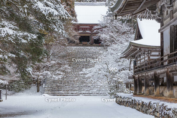 雪の神護寺　高雄 [MOP110102040]