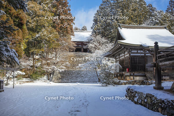 雪の神護寺　高雄 [MOP110102041]